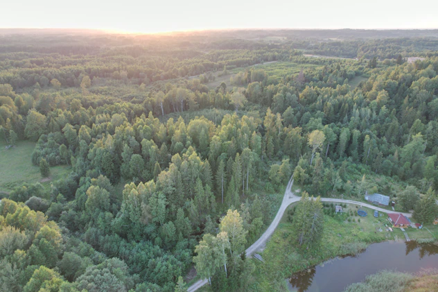 an aerial view of a forest with a river running through it