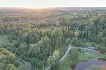 An aerial view of a lush, green forest landscape with dense tree coverage. A small dirt road meanders through the forest, leading to a clearing with a couple of buildings near a pond. The horizon reveals a serene sunset, casting a warm glow over the tree canopy.