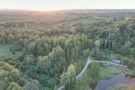 An aerial view of a lush, green forest landscape with dense tree coverage. A small dirt road meanders through the forest, leading to a clearing with a couple of buildings near a pond. The horizon reveals a serene sunset, casting a warm glow over the tree canopy.
