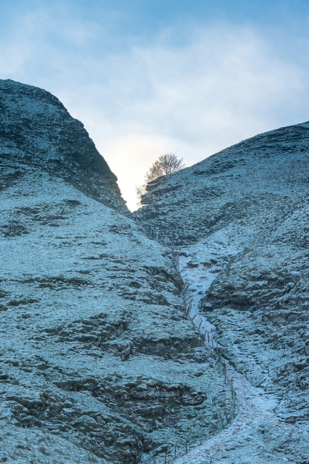 una montaña cubierta de nieve con un árbol en la parte superior