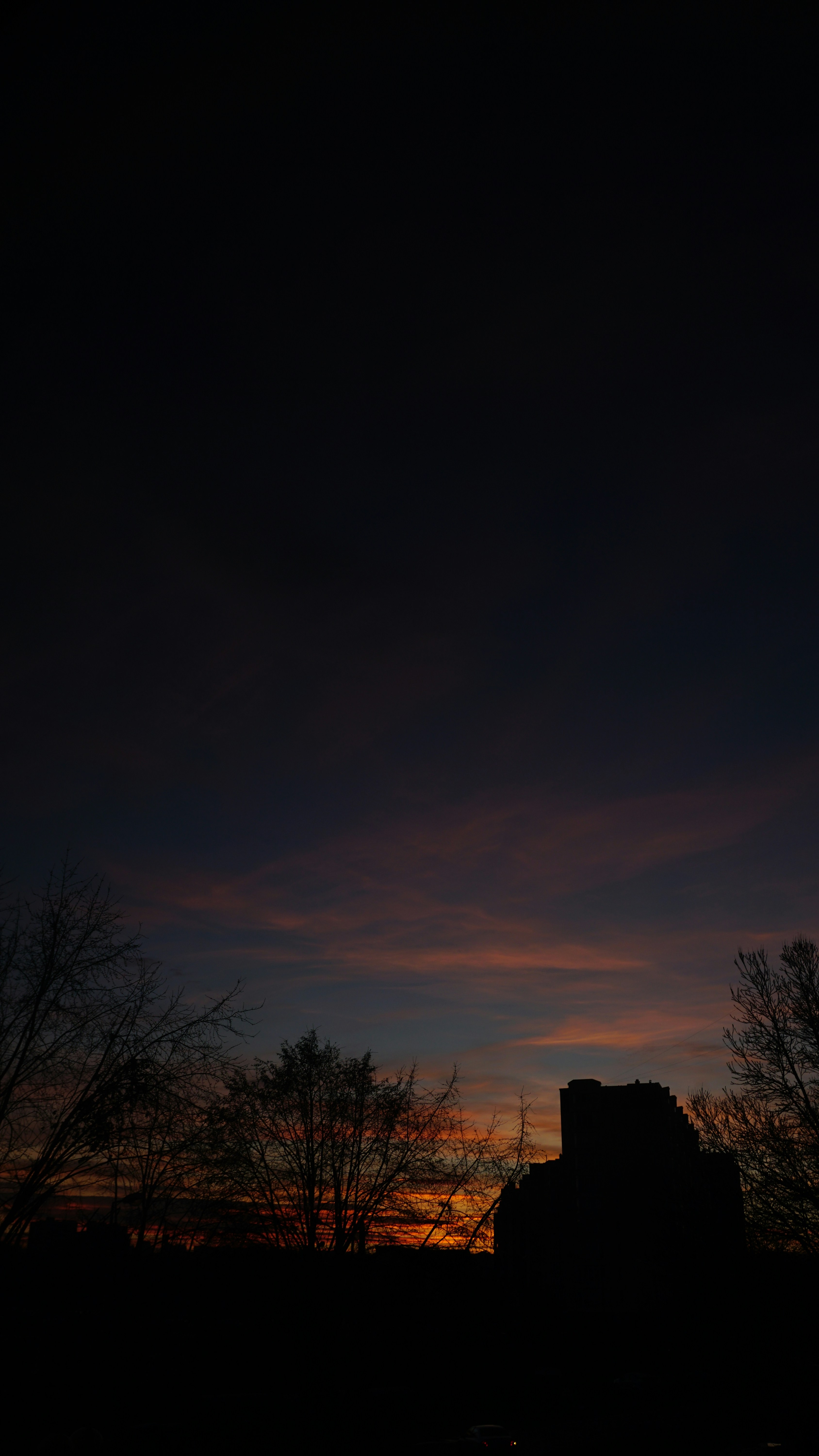 Il sole tramonta dietro una sagoma di alberi