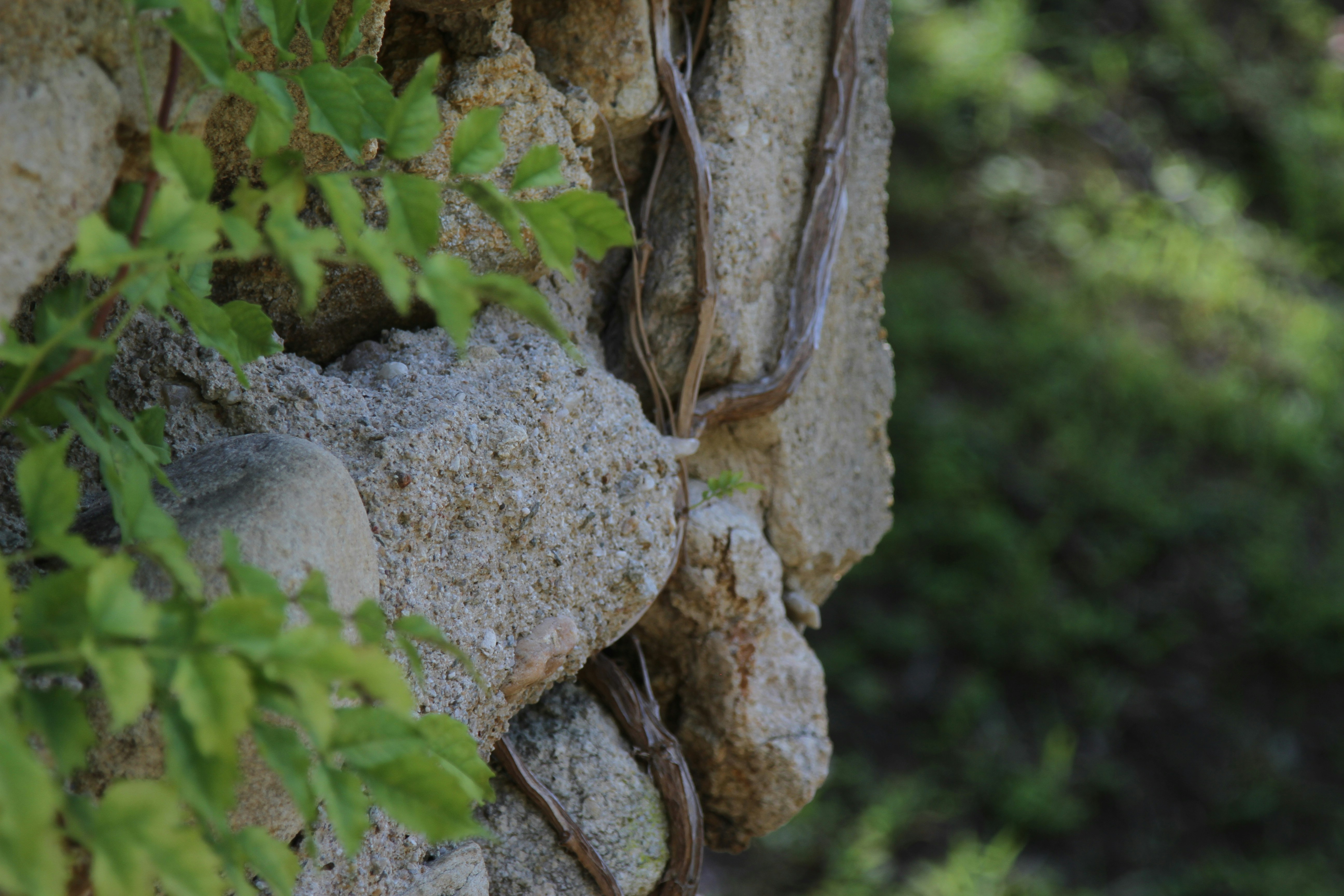 Photo by jcollins_97