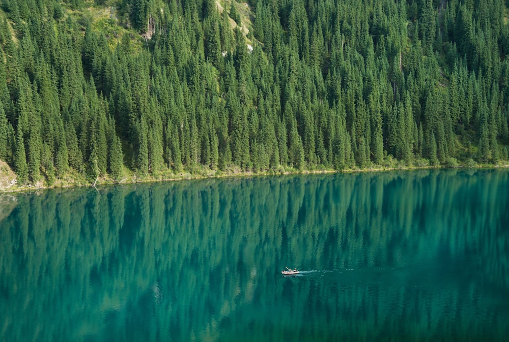 un bateau flottant au sommet d’un lac entouré d’une forêt