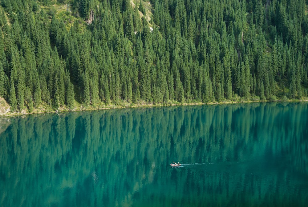 a boat floating on top of a lake surrounded by forest