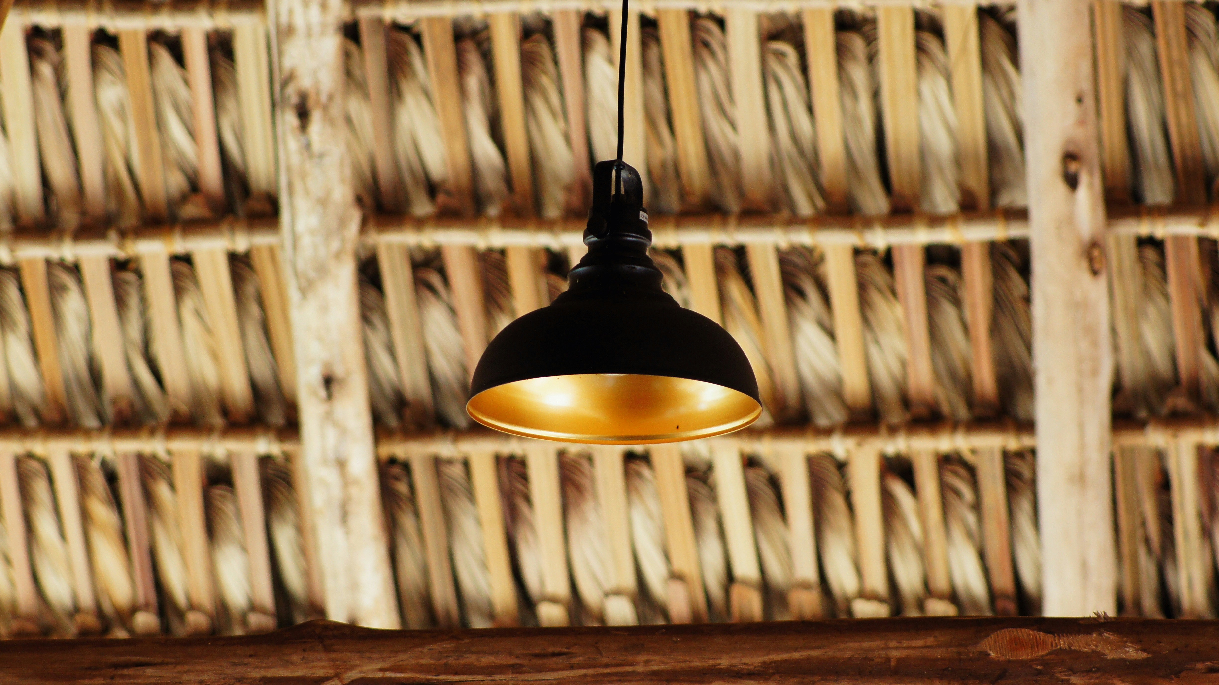 Photo by someghost95