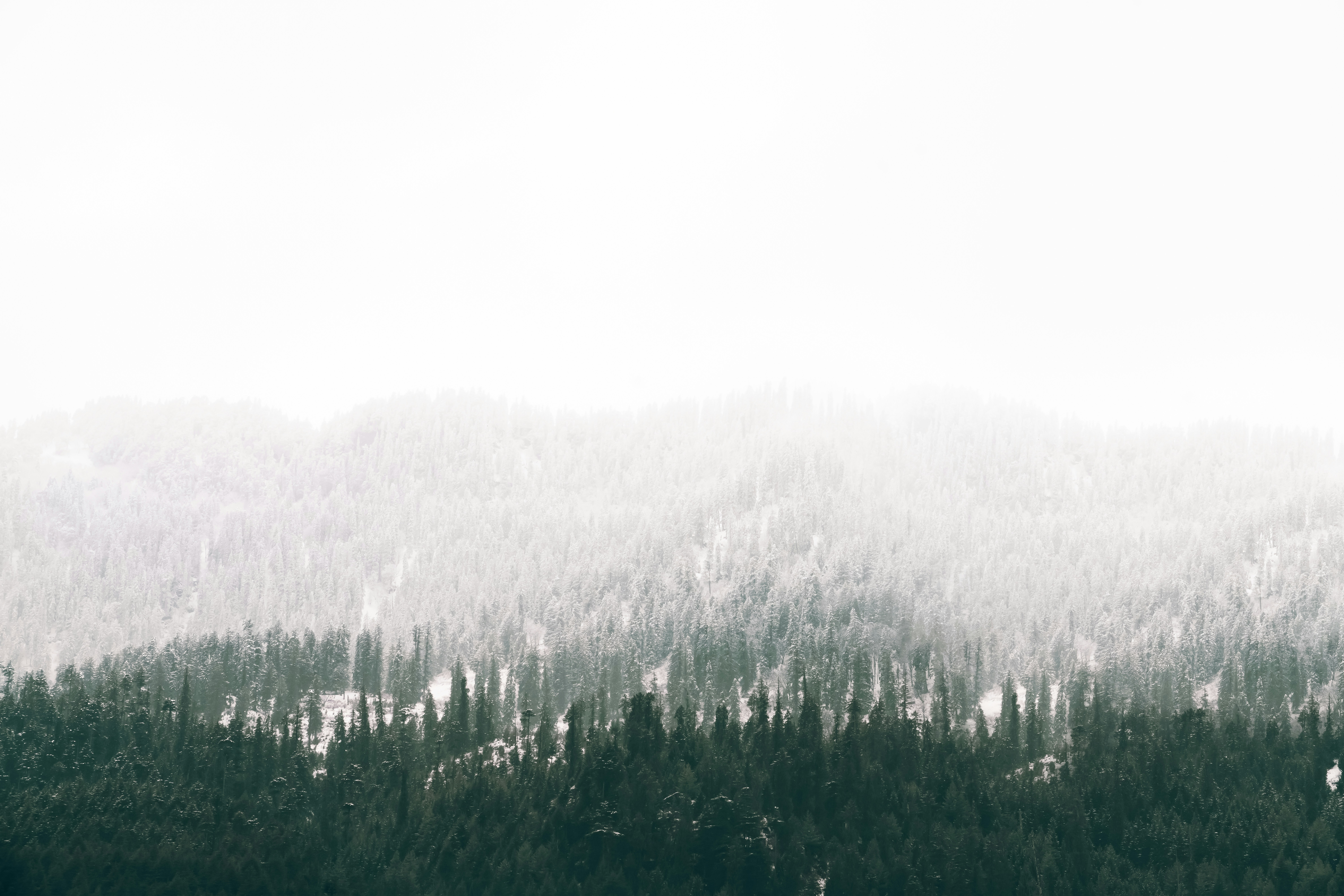 Photo by meemoome_productions