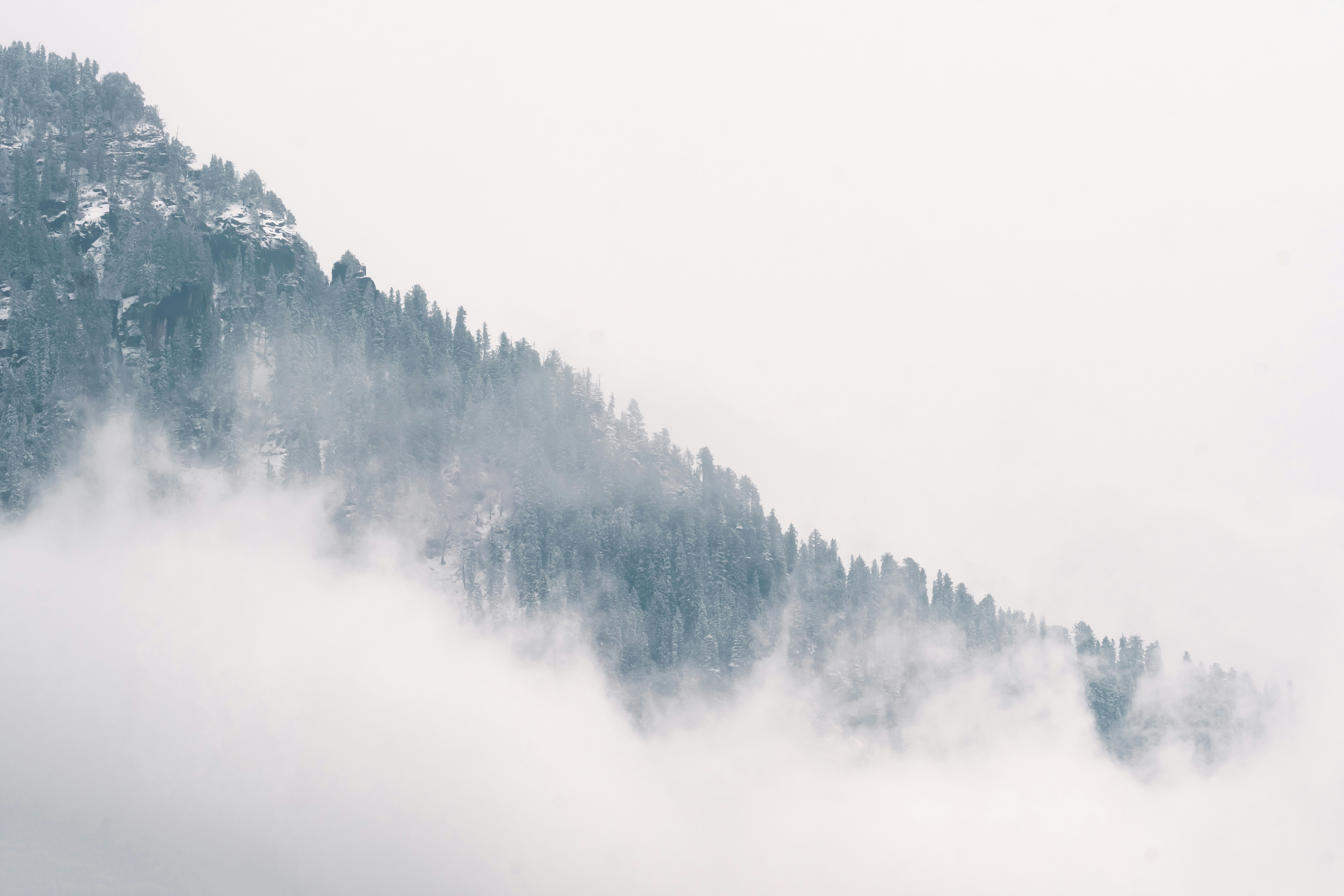 Photo by meemoome_productions