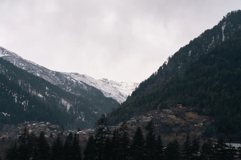 Best Local Shopping in Manali: Bazaars, Textiles, and Crafts Worth Buying