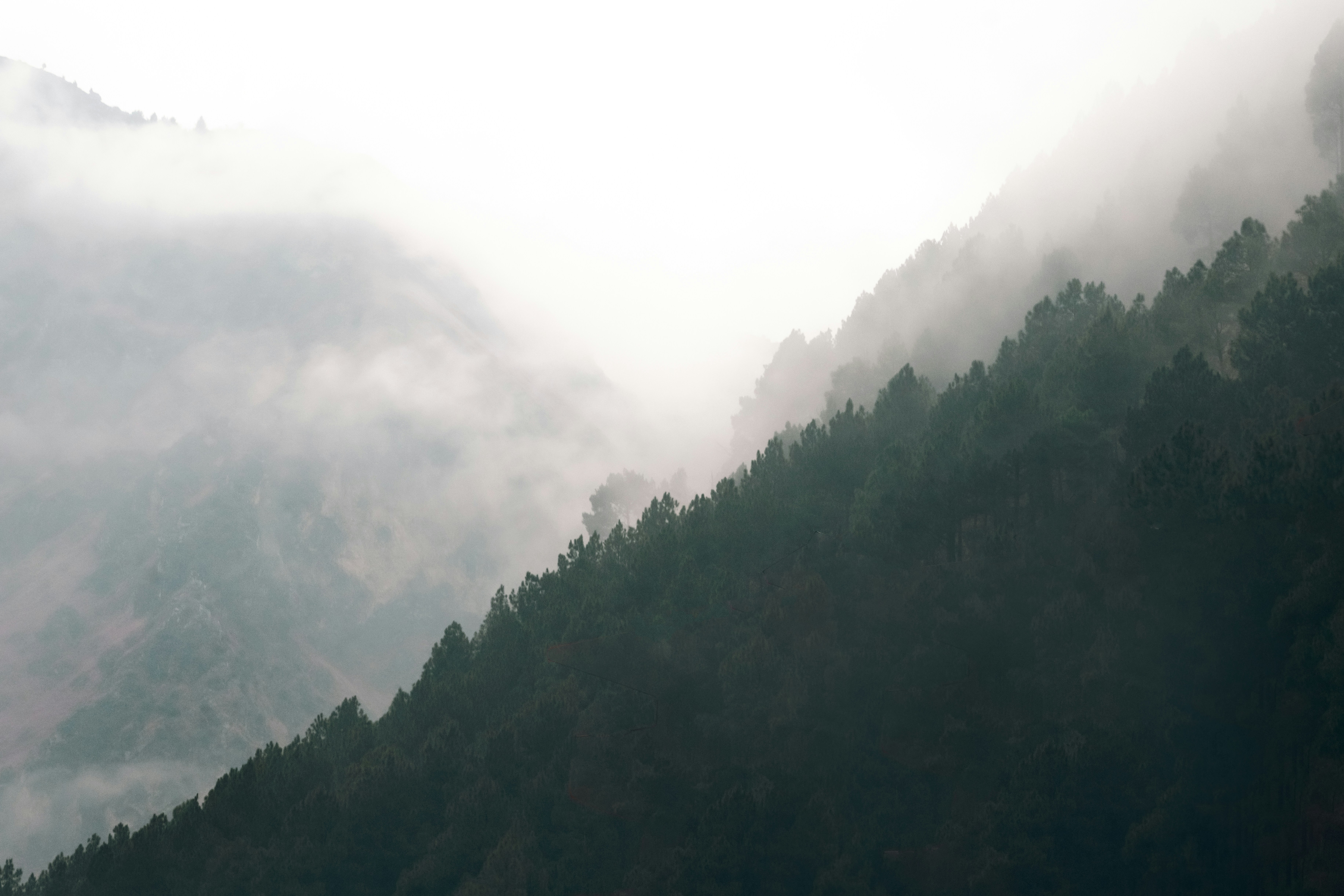 Photo by meemoome_productions