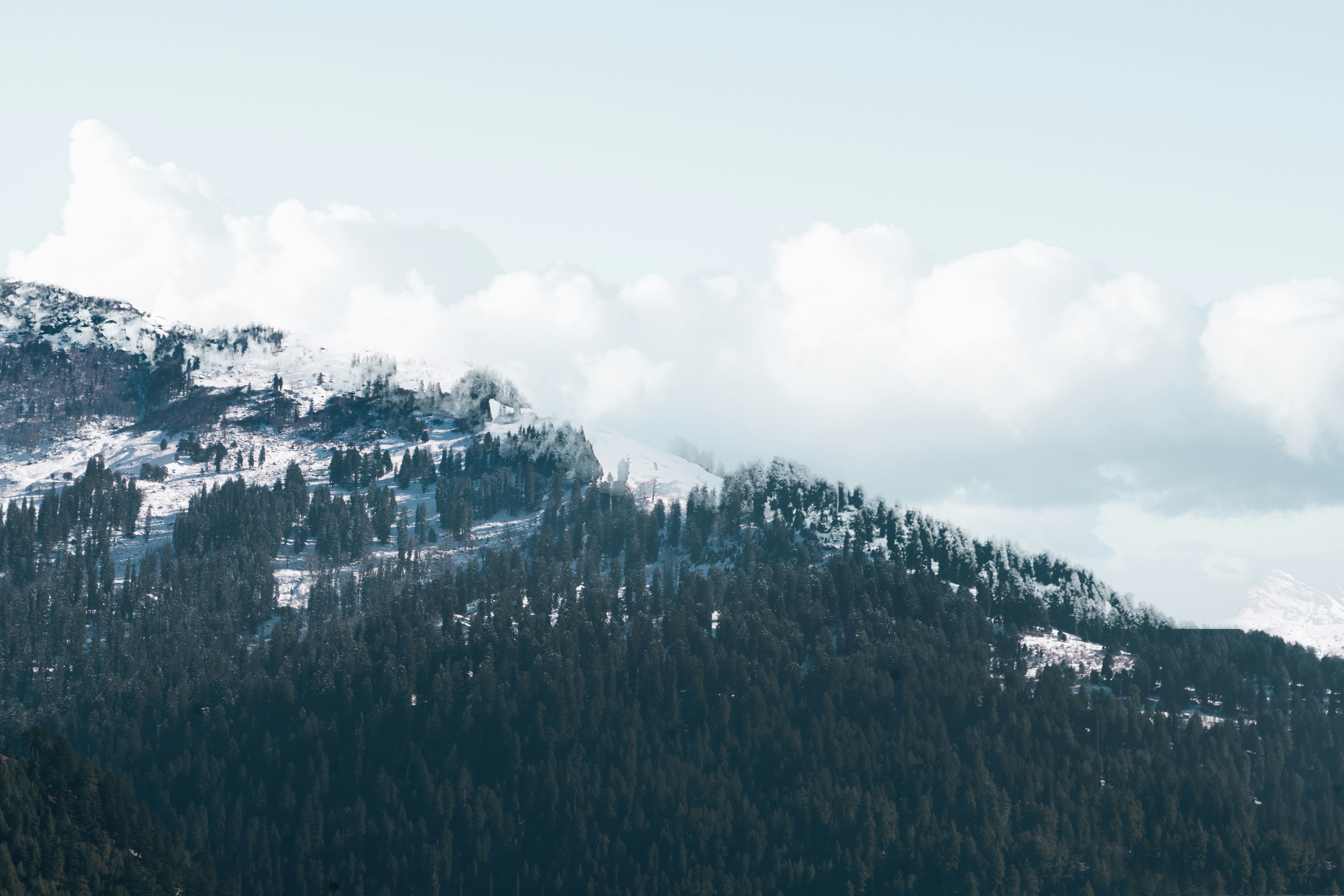 Photo by meemoome_productions