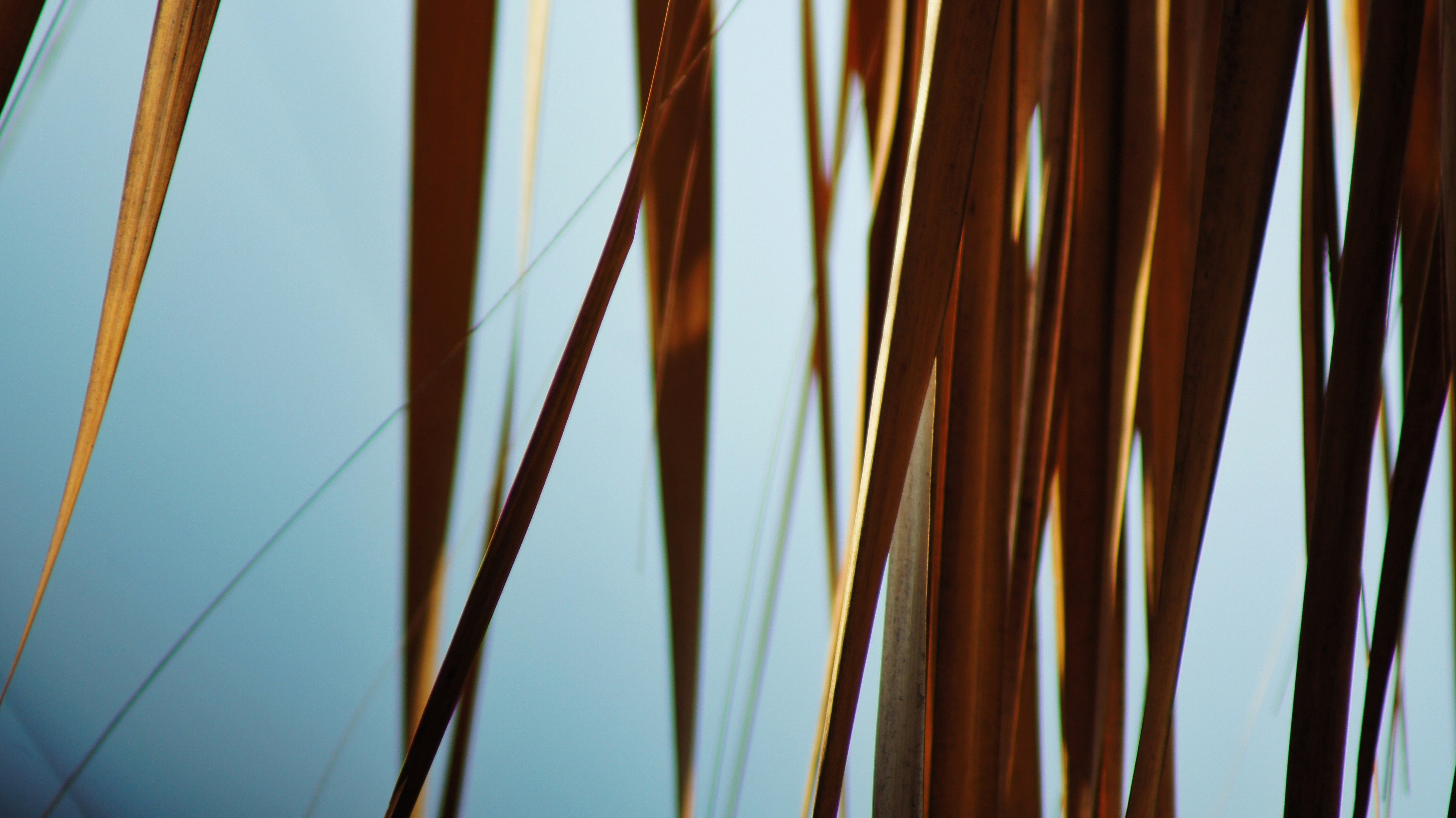 Photo by someghost95