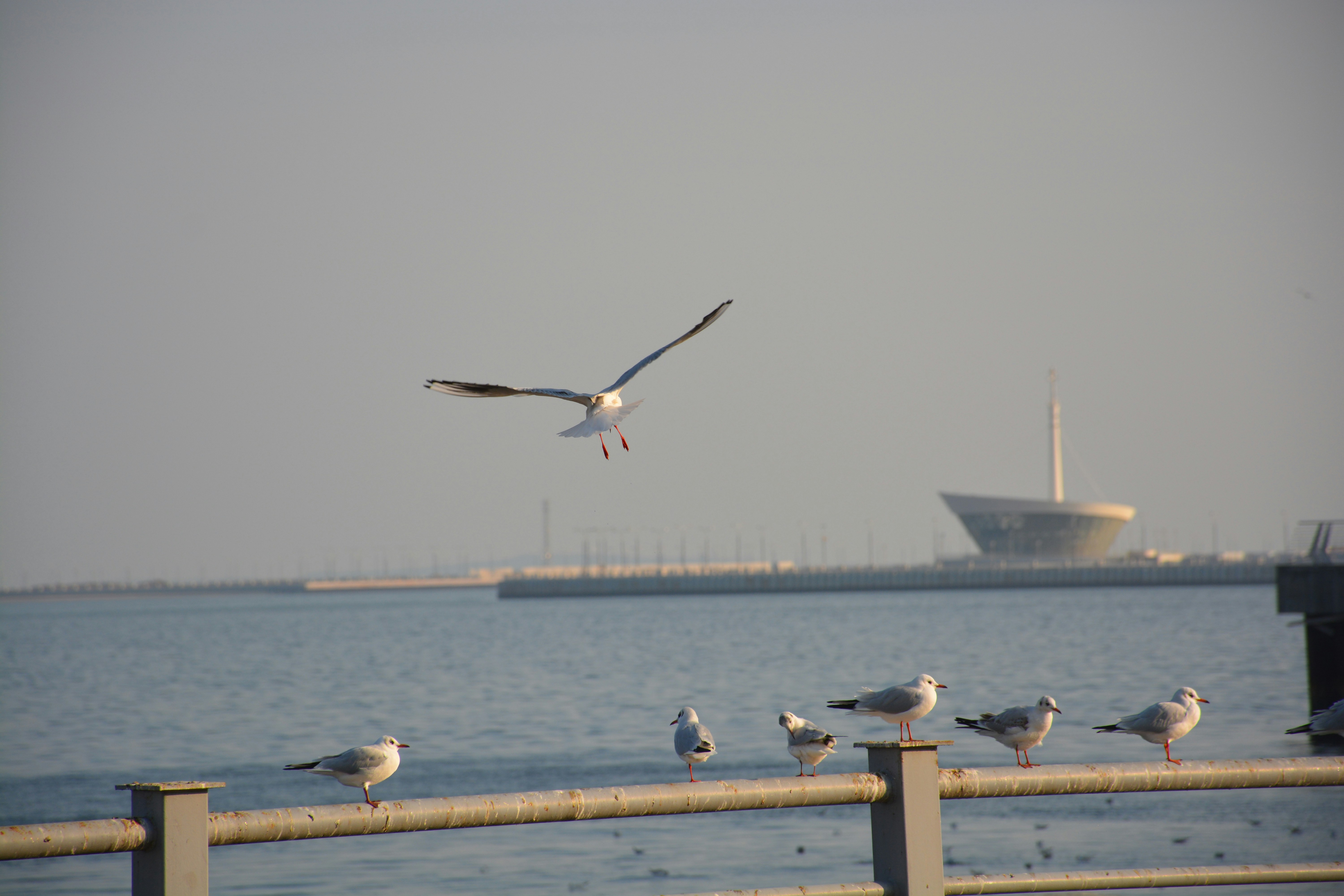 Photo by leyla21m