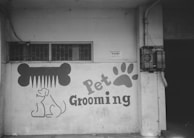 A black and white mural on a wall features a large graphic of a comb shaped like a bone above a simple line drawing of a dog. The words 'Pet Grooming' are prominently displayed next to a large paw print. The wall has a small window with bars, and there is some plumbing and an electrical box on the right.