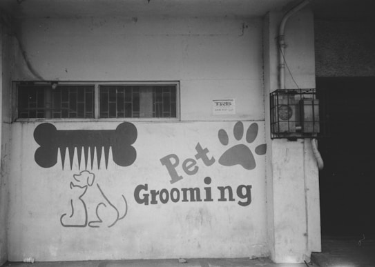 A black and white mural on a wall features a large graphic of a comb shaped like a bone above a simple line drawing of a dog. The words 'Pet Grooming' are prominently displayed next to a large paw print. The wall has a small window with bars, and there is some plumbing and an electrical box on the right.