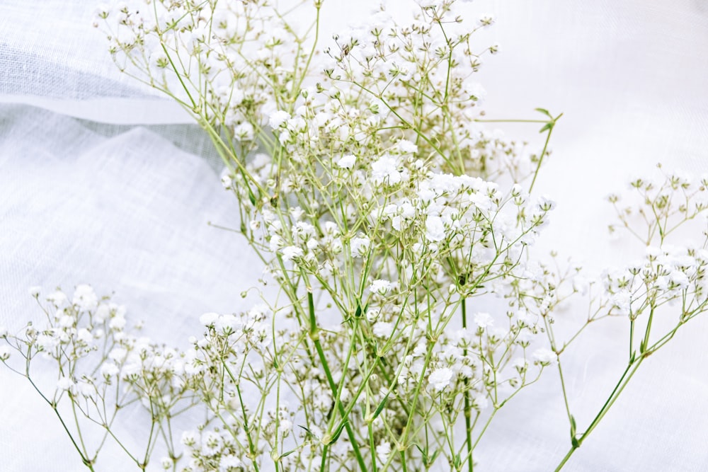 a vase filled with white flowers on top of a table