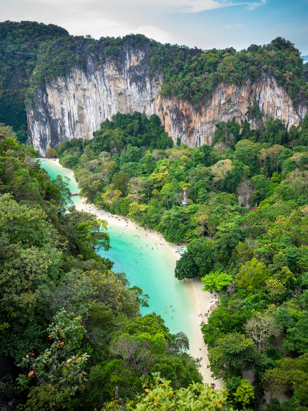 a river running through a lush green forest