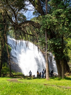 A vibrant scene of travelers enjoying a lush waterfall surrounded by tropical greenery in Mauritius.