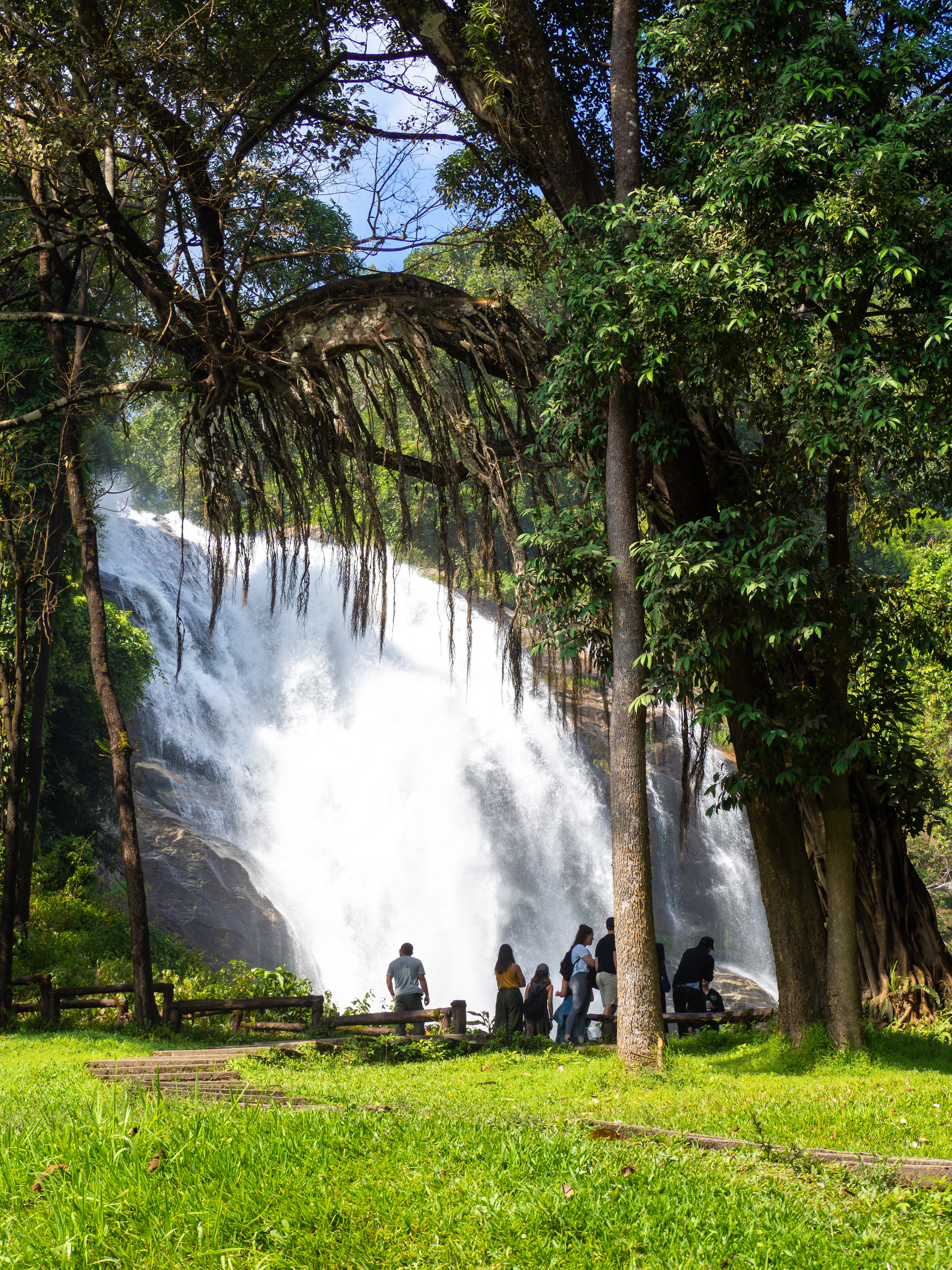 A group of travelers marveling at the powerful Gullfoss waterfall surrounded by lush greenery.