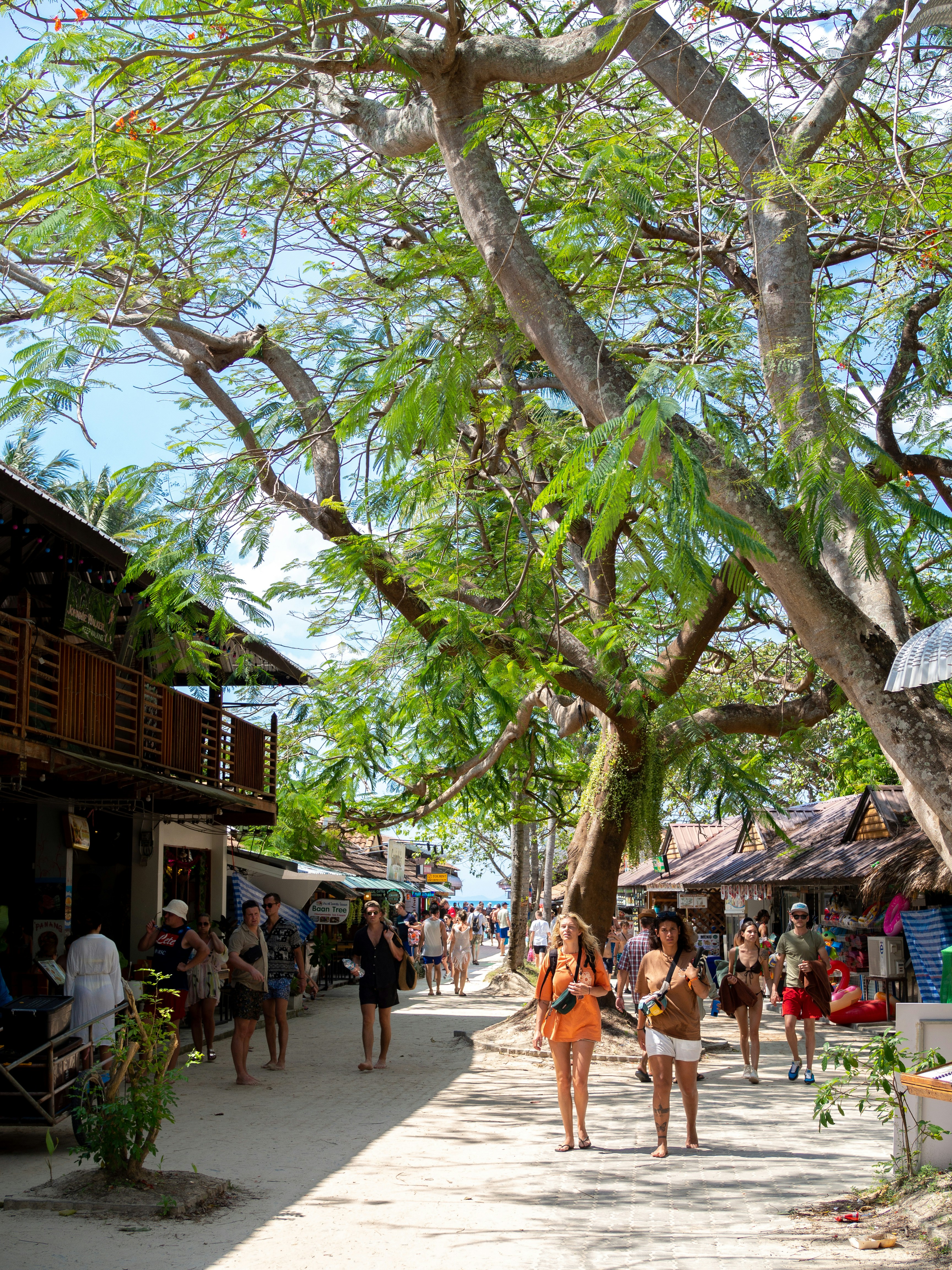 a group of people walking down a street next to a tree