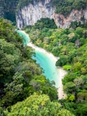 A serene coastal scene with turquoise water bordered by lush, green rainforest and tall, steep cliffs. The sandy beach is dotted with people enjoying the natural surroundings.
