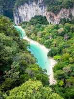 A serene coastal scene with turquoise water bordered by lush, green rainforest and tall, steep cliffs. The sandy beach is dotted with people enjoying the natural surroundings.