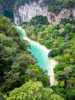 A serene coastal scene with turquoise water bordered by lush, green rainforest and tall, steep cliffs. The sandy beach is dotted with people enjoying the natural surroundings.