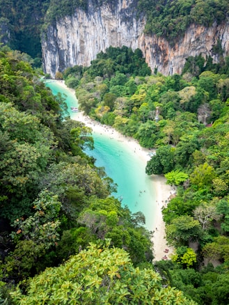 A serene coastal scene with turquoise water bordered by lush, green rainforest and tall, steep cliffs. The sandy beach is dotted with people enjoying the natural surroundings.