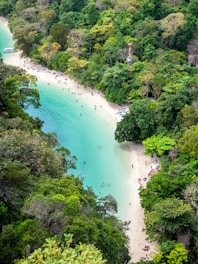 a group of people on a beach surrounded by trees