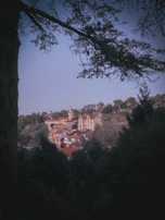 A quaint village lies nestled among rolling hills, with charming pastel-colored buildings and a prominent tower rising above the treetops. The scene is framed by tall trees, and the village appears peaceful against a backdrop of a clear sky.