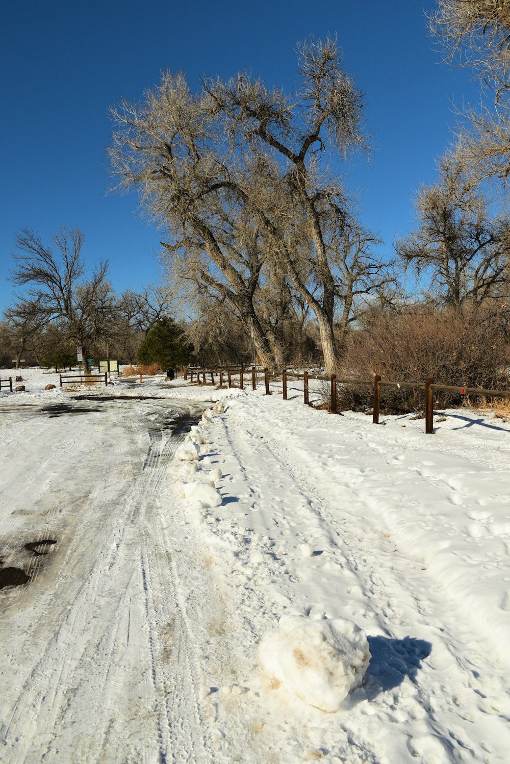 a snow covered road with trees in the background