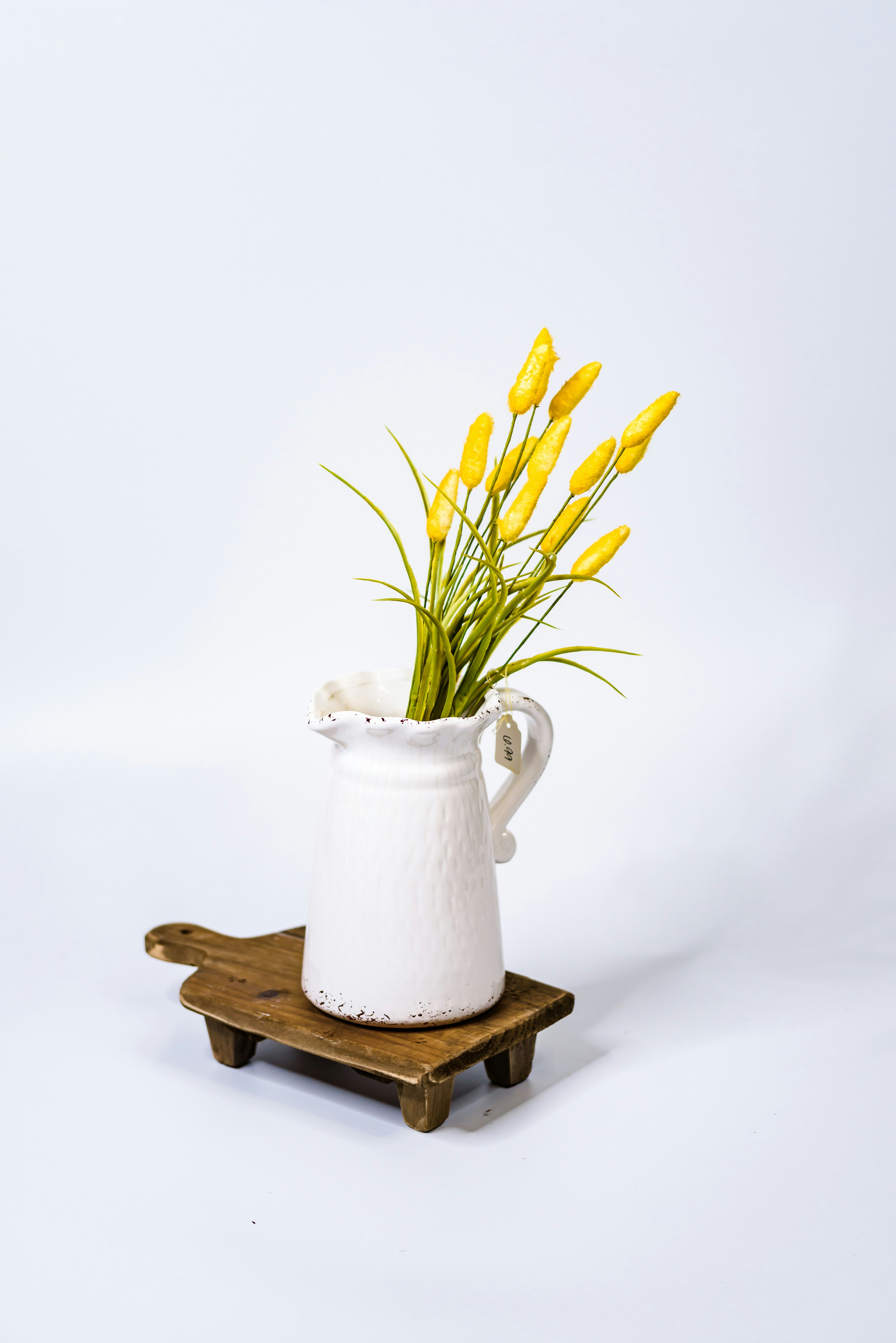 Photo by haileymoeller