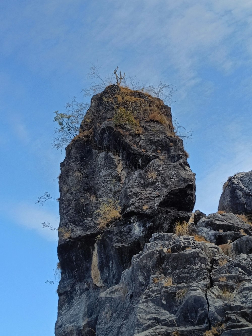 a rock formation with a tree growing on top of it