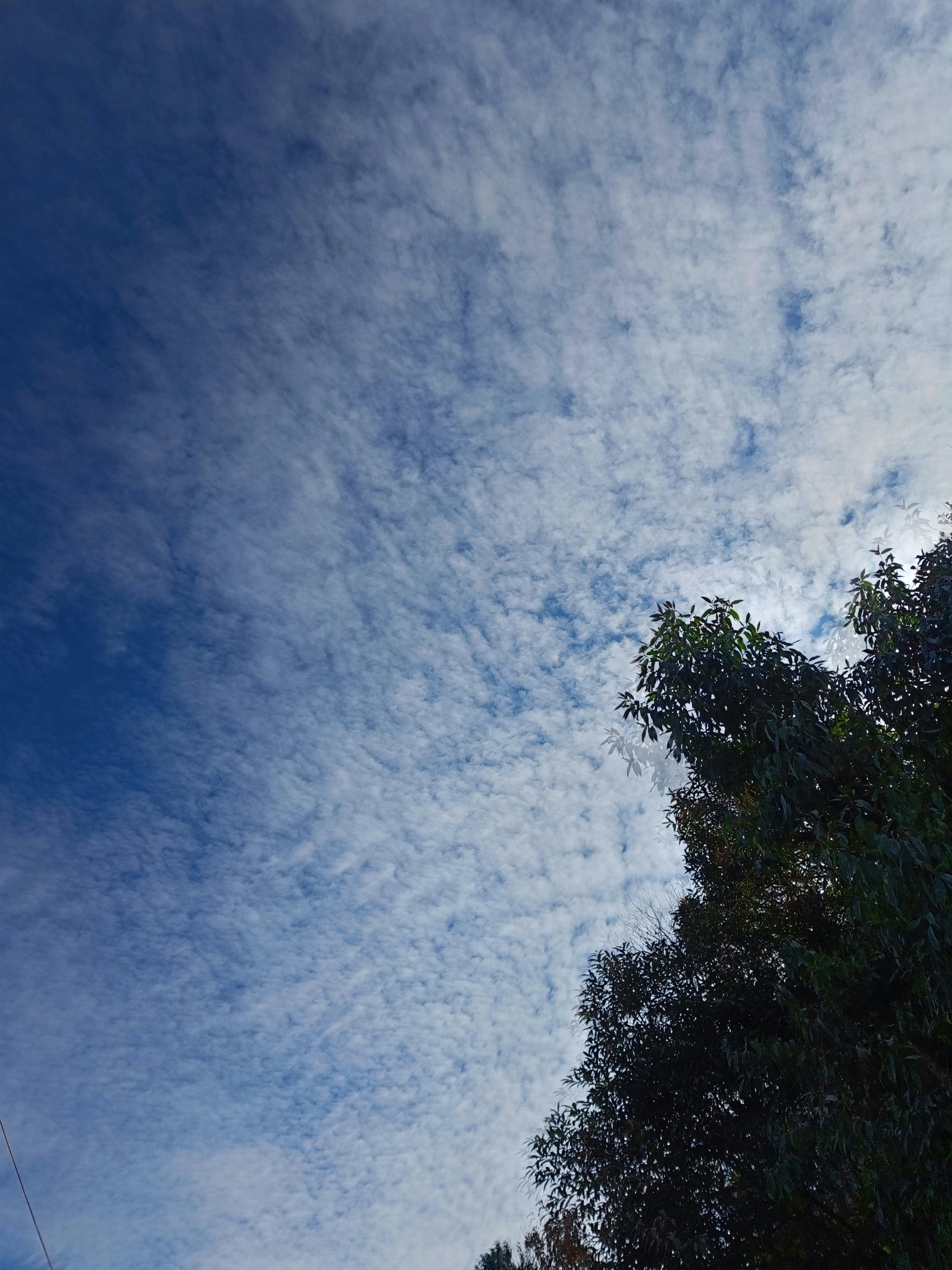 Photo by theopaqueartist