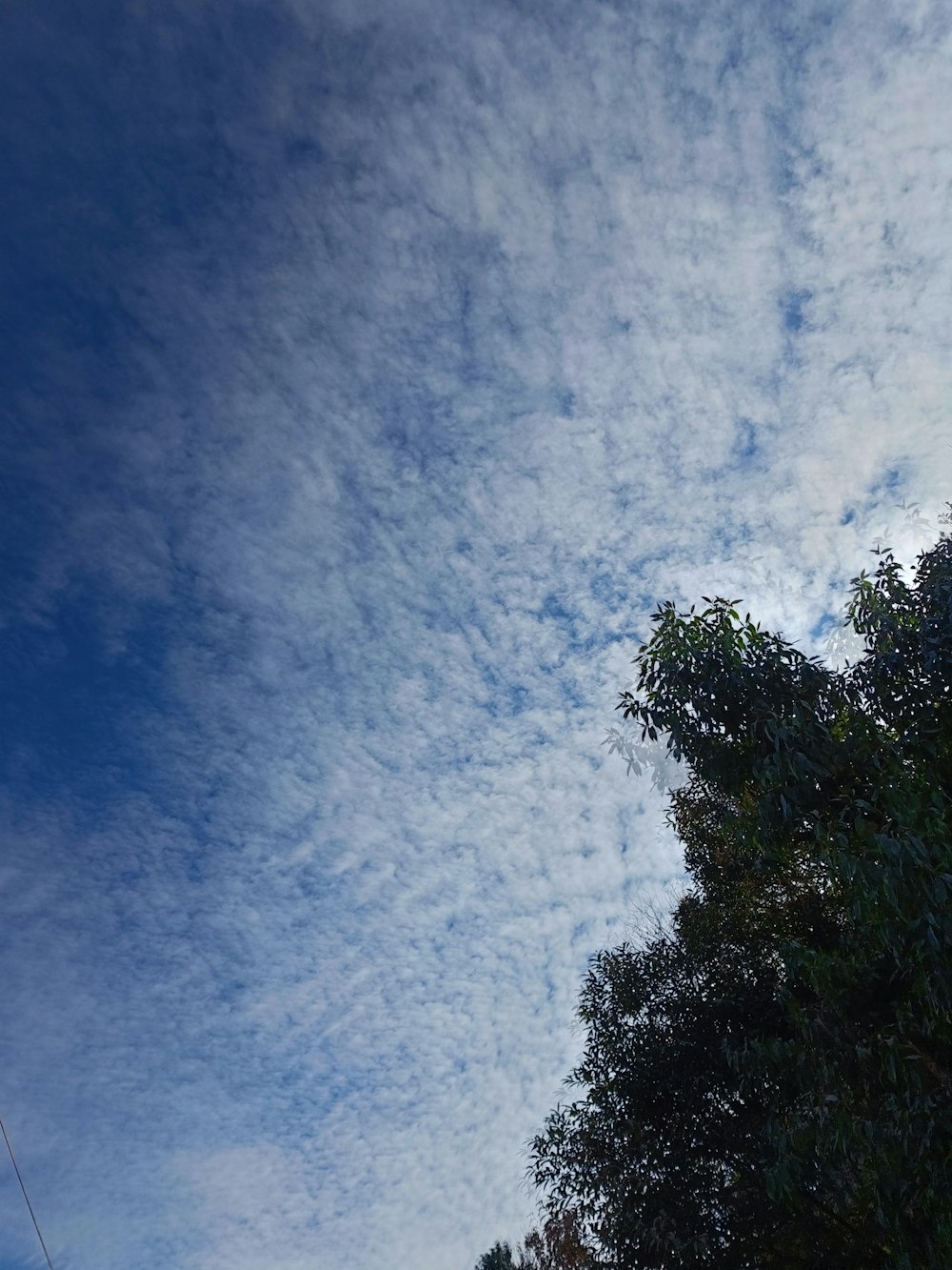 a blue sky with some clouds and trees