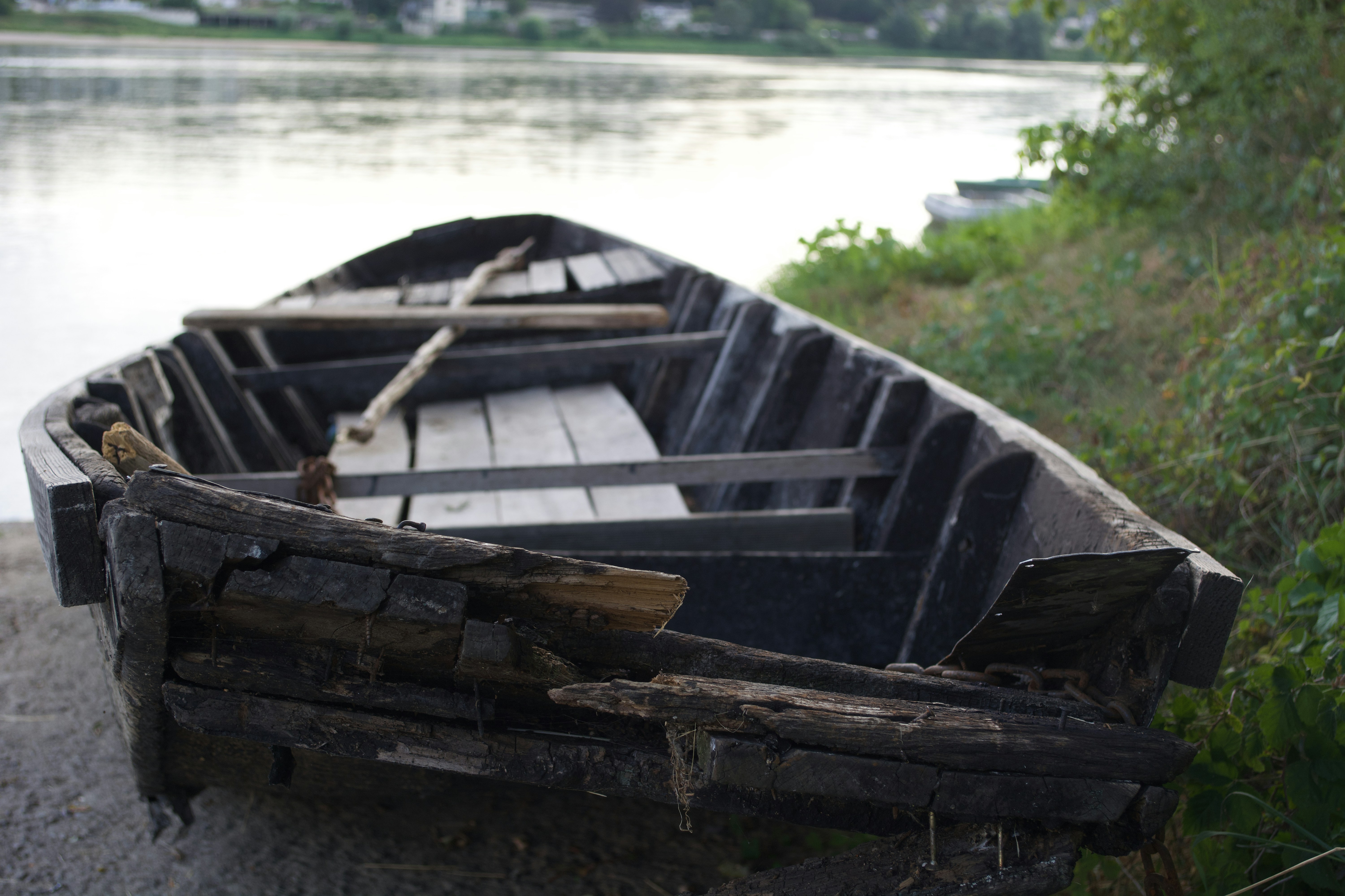 Photo by shaunrainer