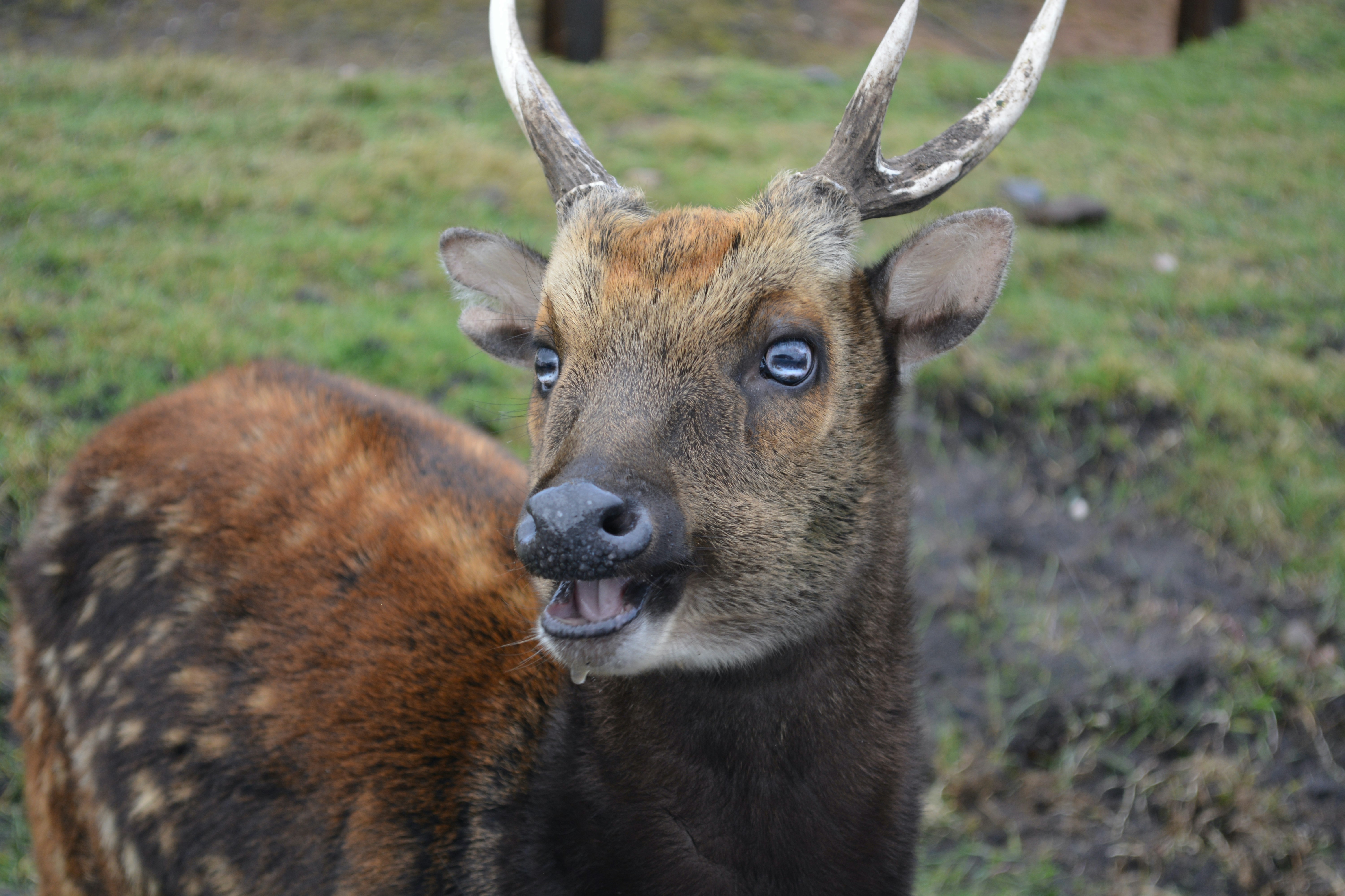 Photo by shaunrainer