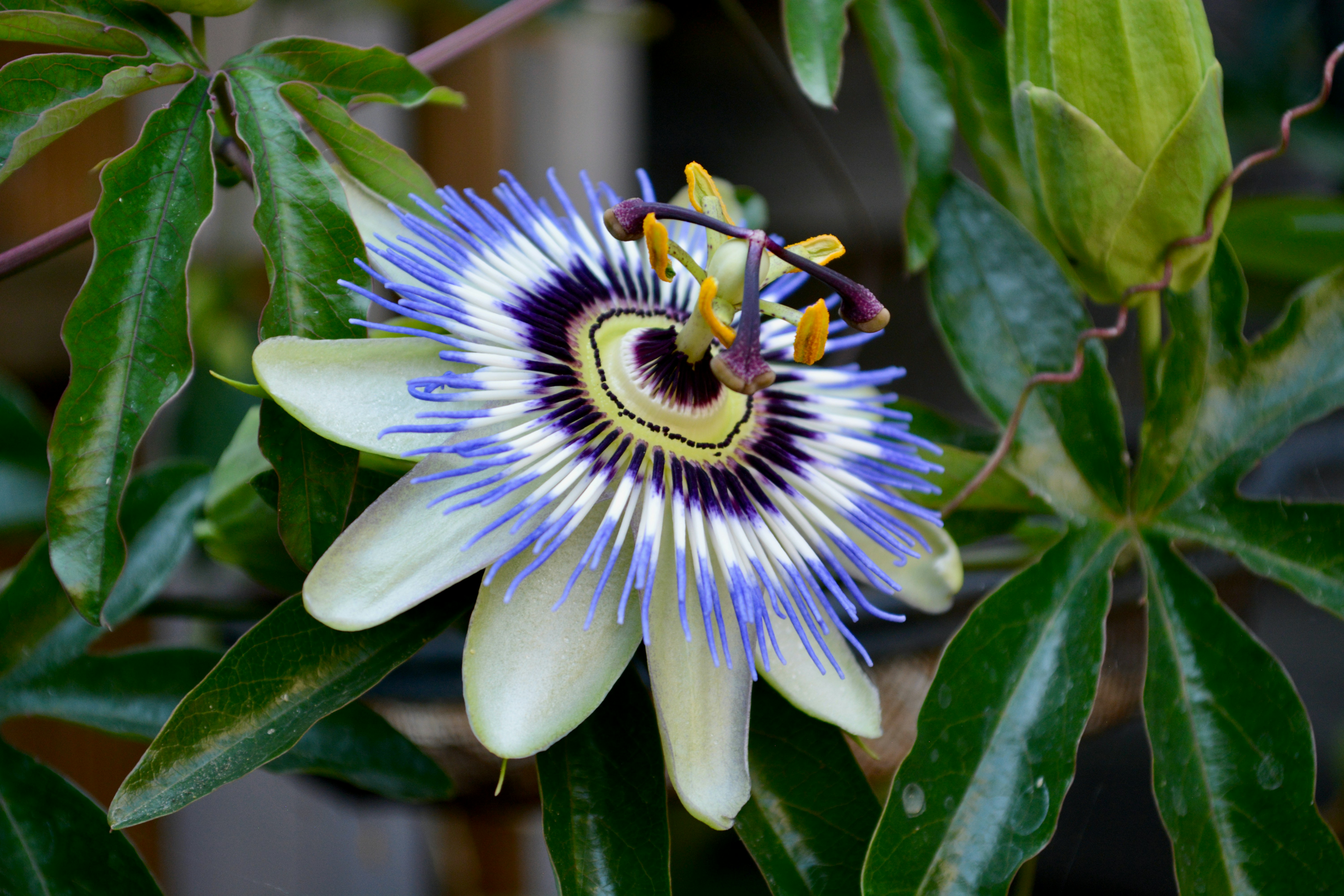 Photo by shaunrainer