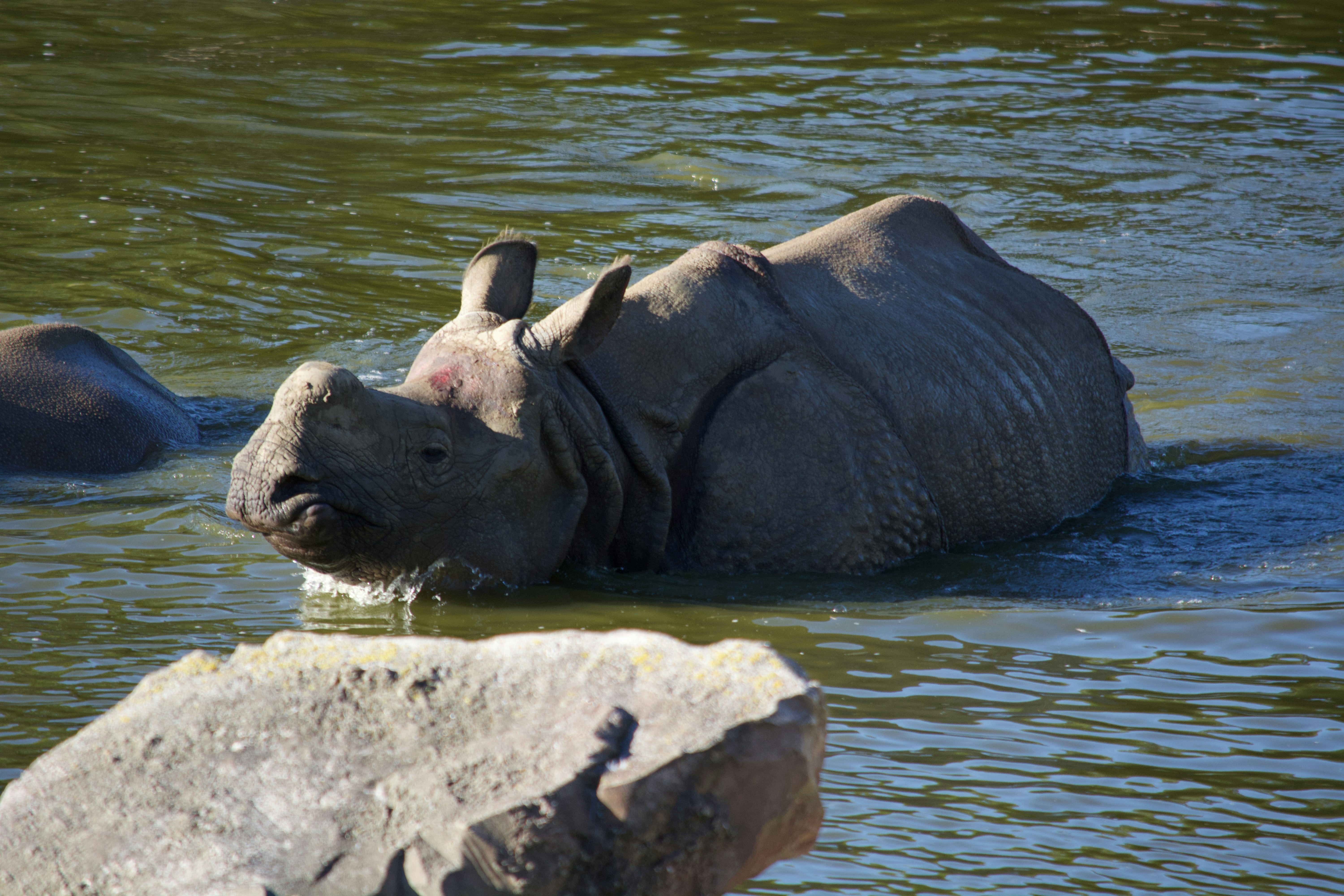 Photo by shaunrainer