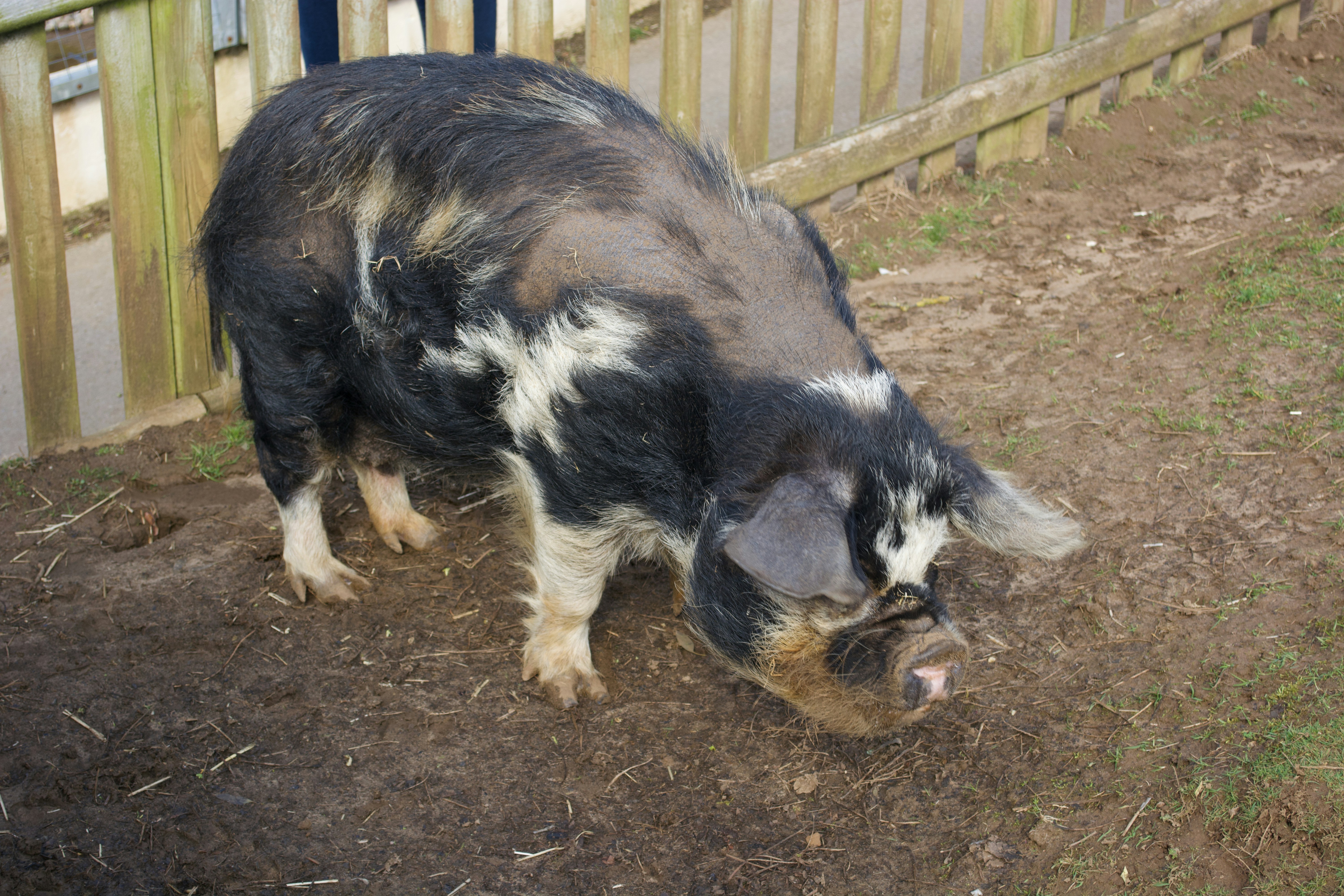 Photo by shaunrainer