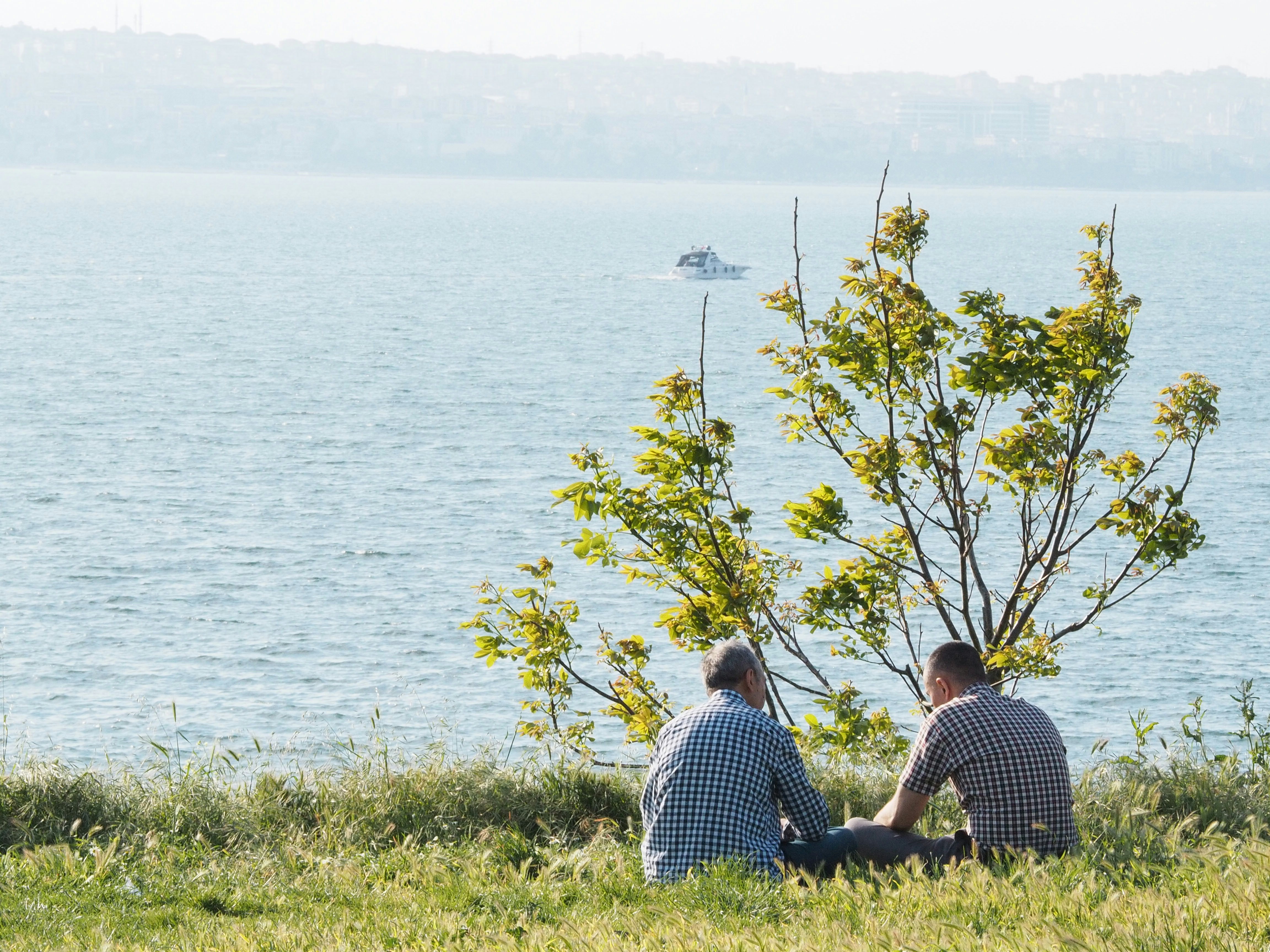 Photo by behnazyosofi