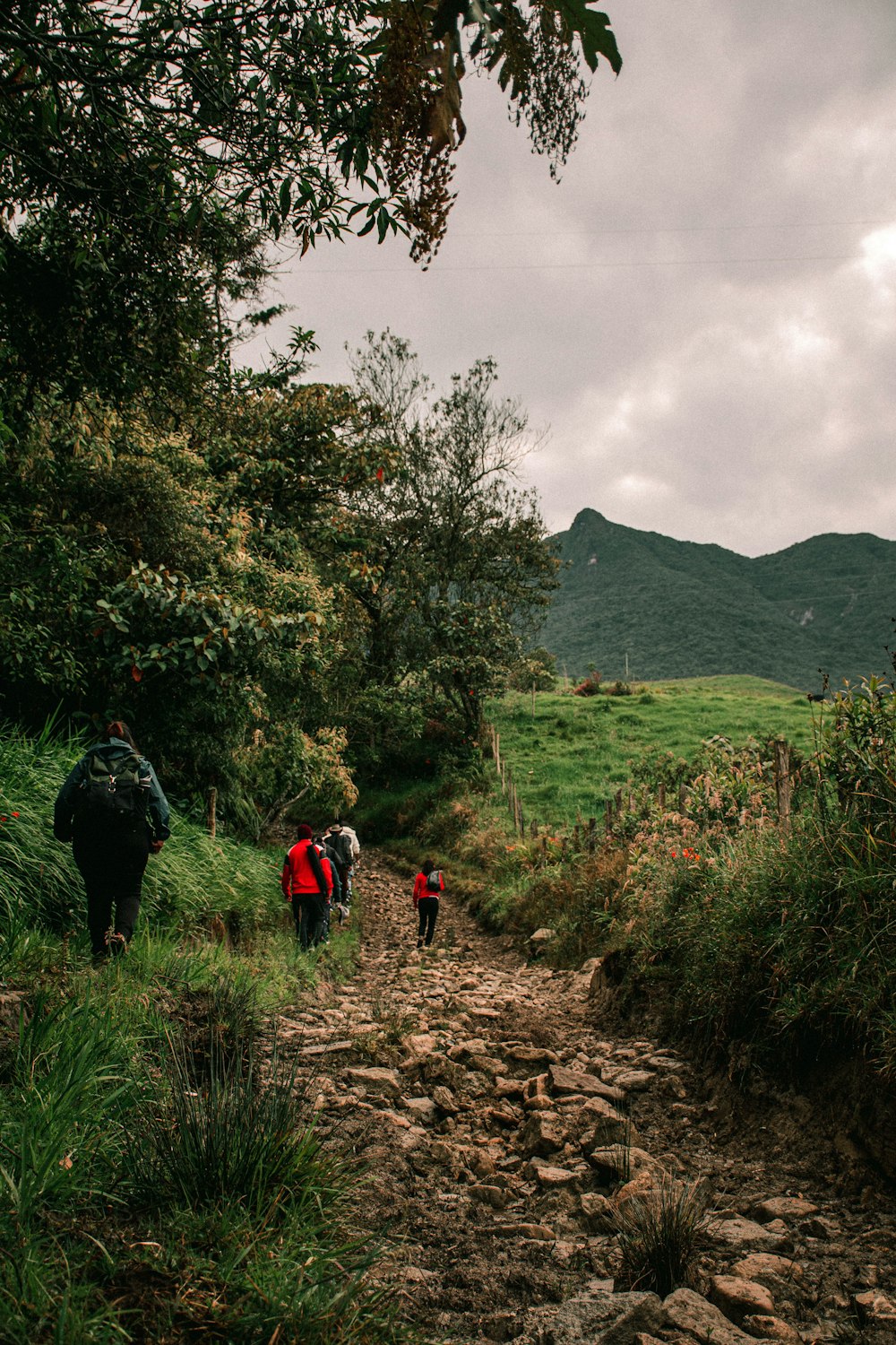 a group of people walking down a dirt road