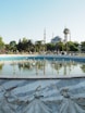 a large pool of water surrounded by palm trees