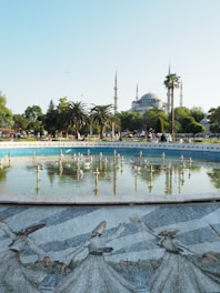 a large pool of water surrounded by palm trees