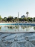 a large pool of water surrounded by palm trees