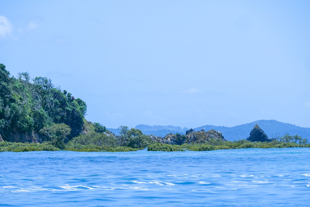 a body of water with trees in the background