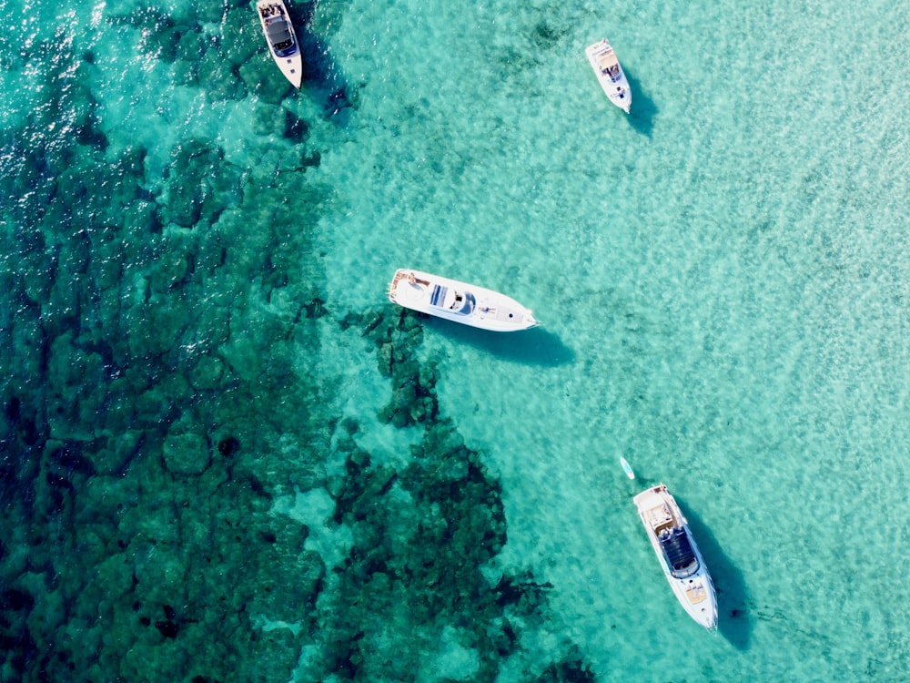 a group of boats floating on top of a body of water