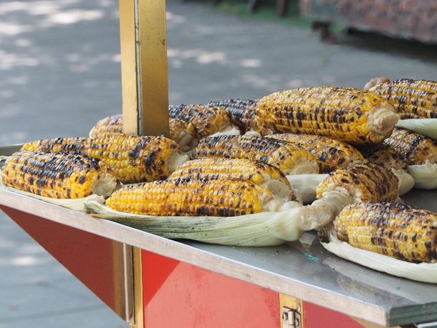 A colorful display of whole corn cobs ready for grilling at an outdoor event.