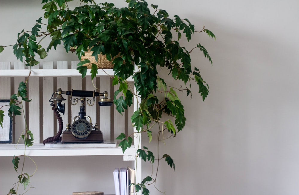 a white shelf with a clock and a plant