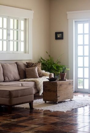 a living room filled with furniture and a plant