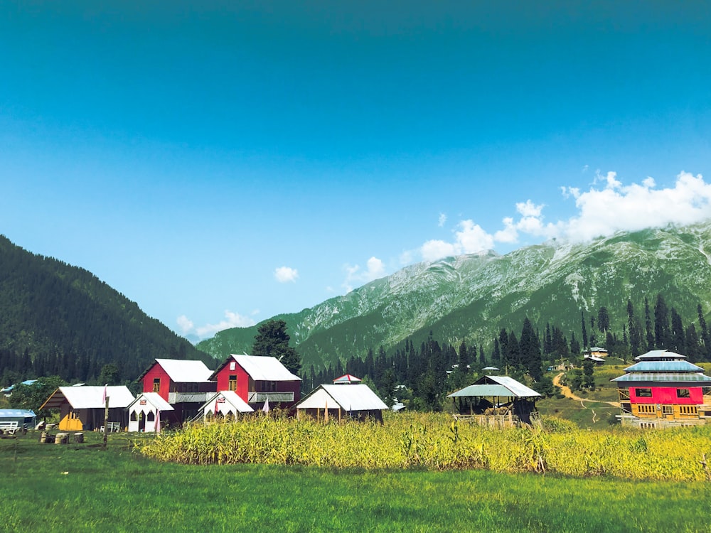 a group of houses in a field with mountains in the background